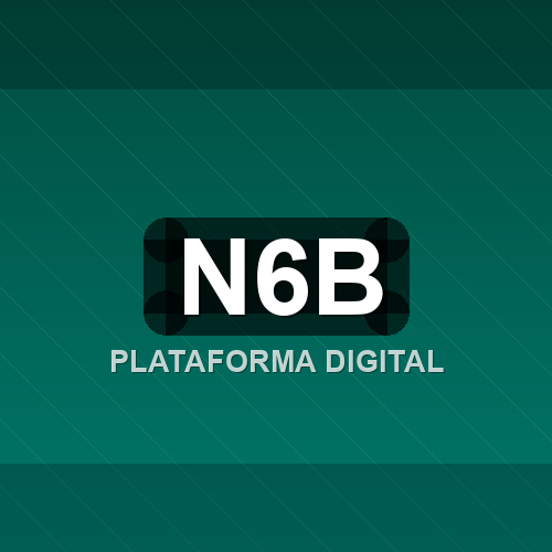 n6b logo
