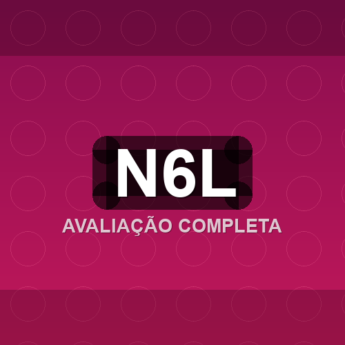 n6l logo