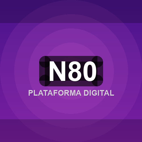 n80 logo