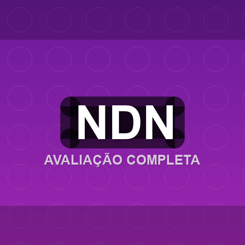 ndn logo