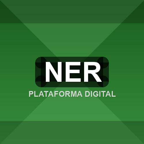 ner logo