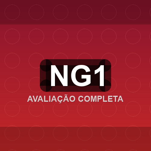 ng1 logo