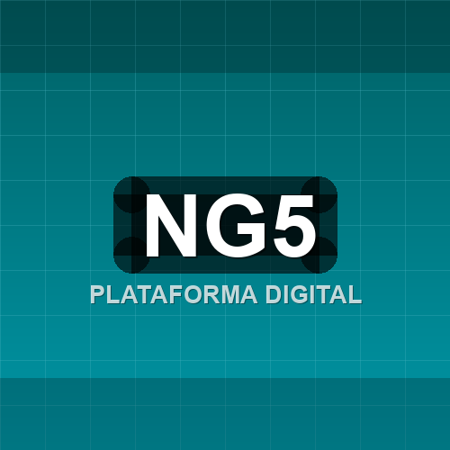 ng5 logo