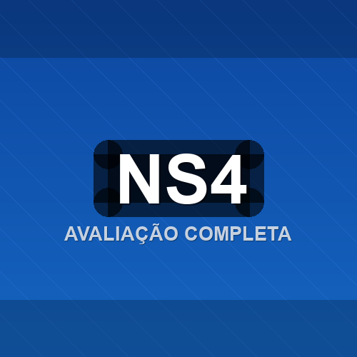 ns4 logo