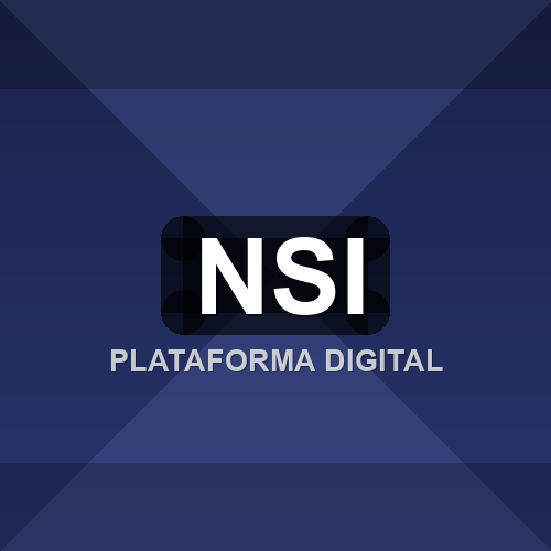 nsi logo