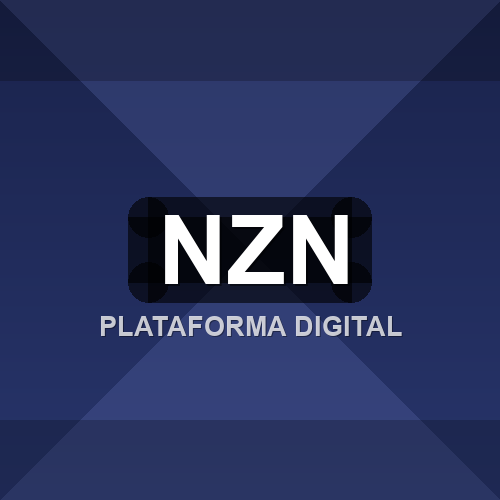 nzn logo