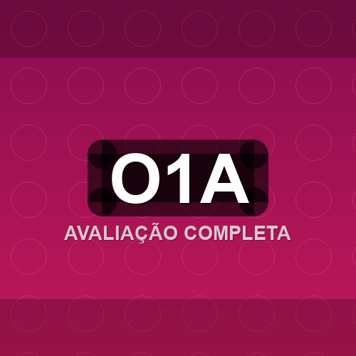 o1a logo