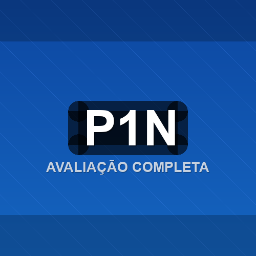 p1n logo