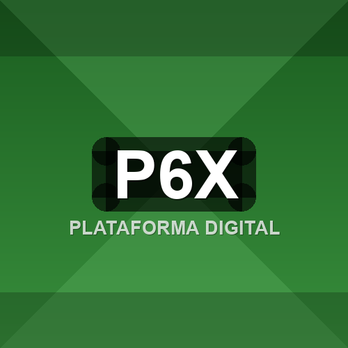 p6x logo