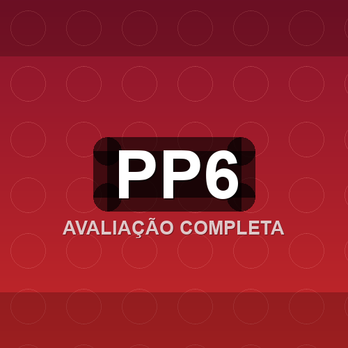 pp6 logo