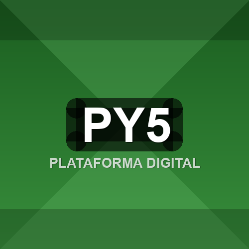 py5 logo