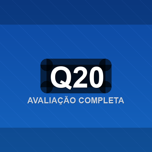 q20 logo
