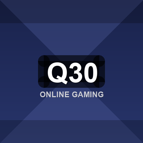 q30 logo