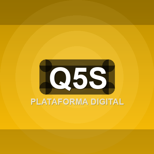 q5s logo