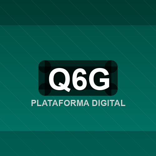 q6g logo
