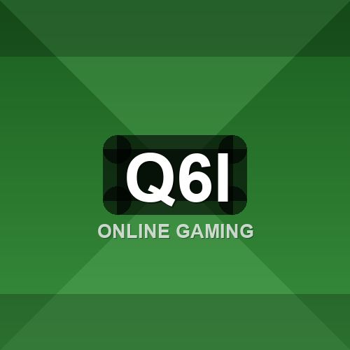q6i logo