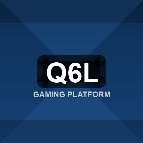 q6l logo