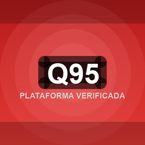 q95 logo