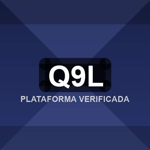 q9l logo