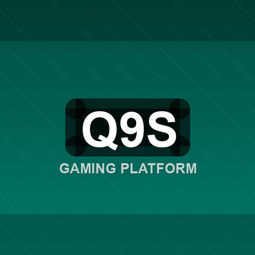 q9s logo