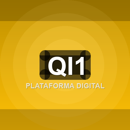 qi1 logo