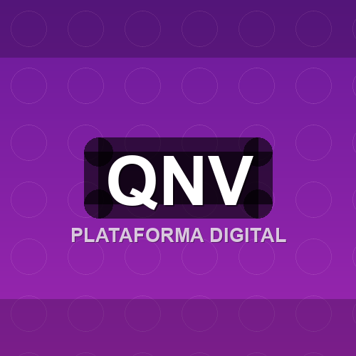qnv logo