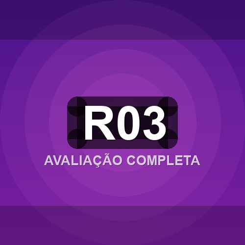 r03 logo