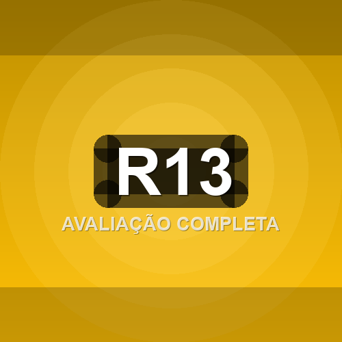 r13 logo