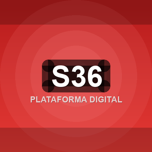 s36 logo