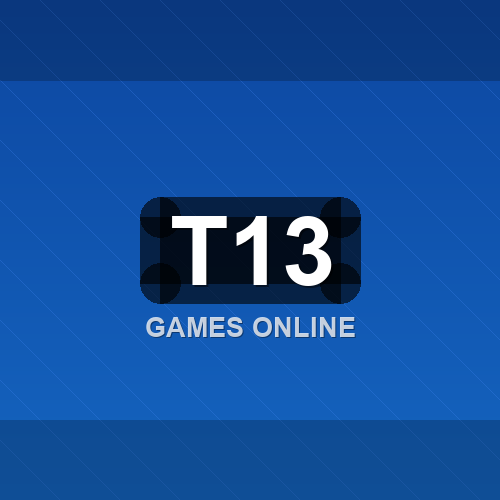 t13 logo