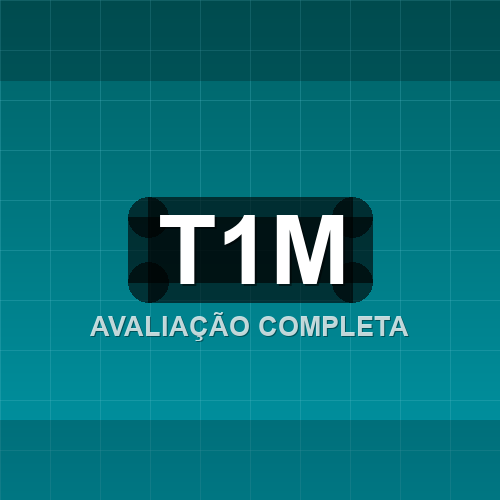 t1m logo