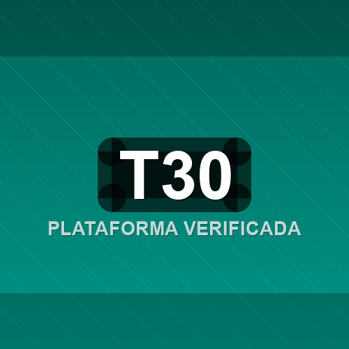 t30 logo