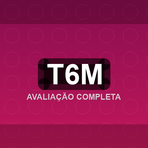 t6m logo