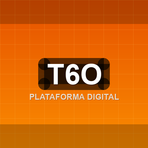 t6o logo