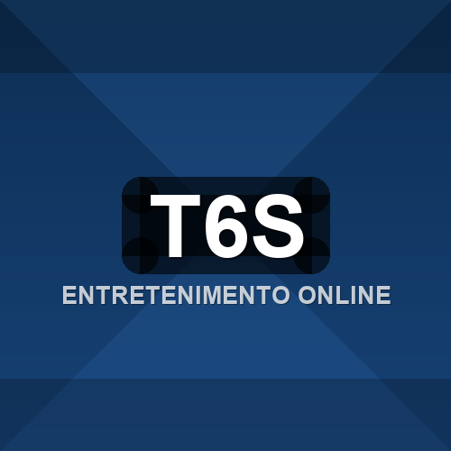 t6s logo