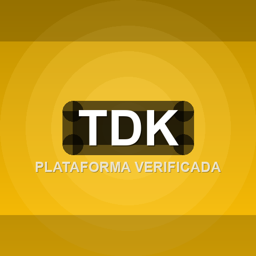 tdk logo