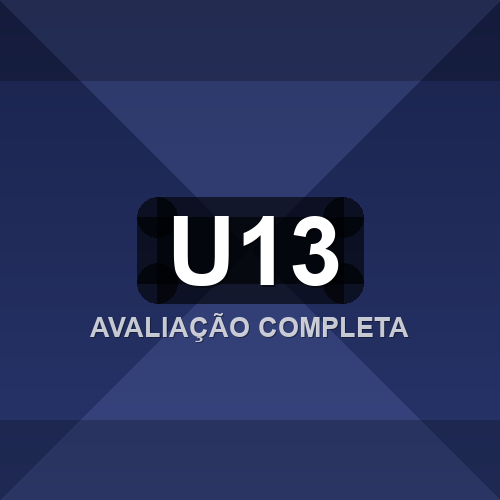 u13 logo