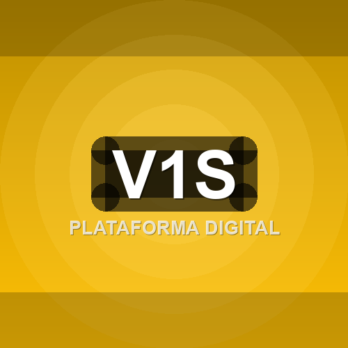 v1s logo