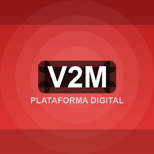 v2m logo