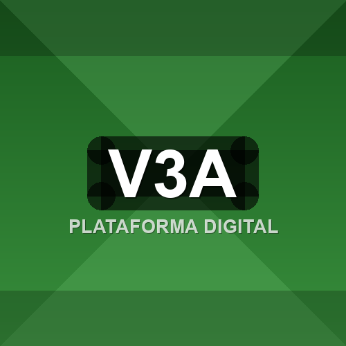 v3a logo