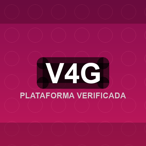v4g logo