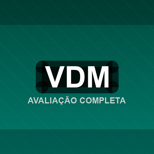 vdm logo