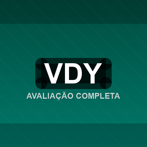 vdy logo