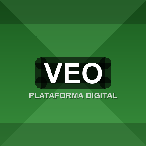 veo logo