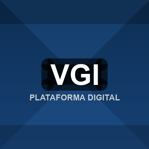 vgi logo