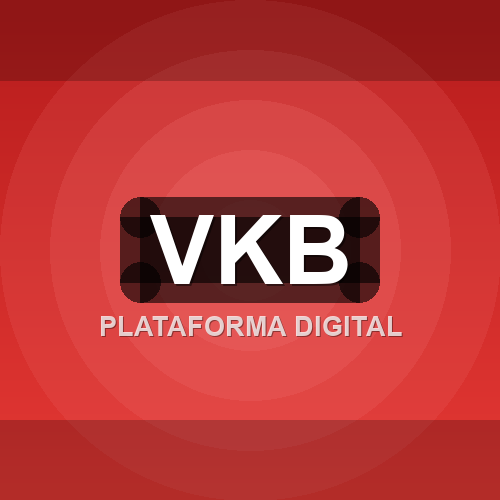 vkb logo