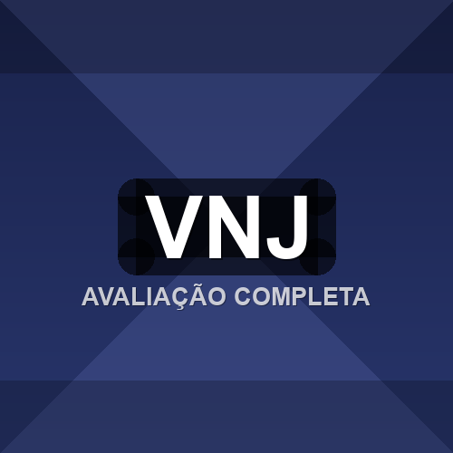 vnj logo