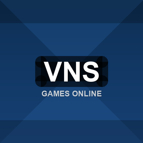 vns logo