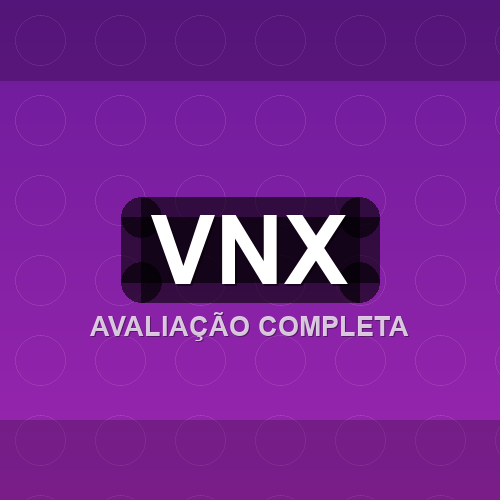 vnx logo