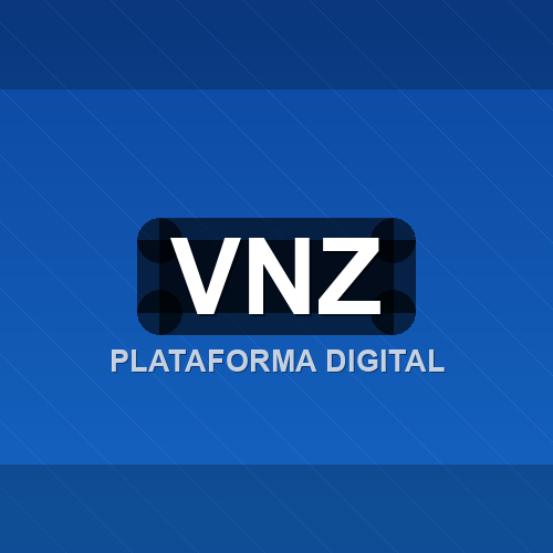 vnz logo